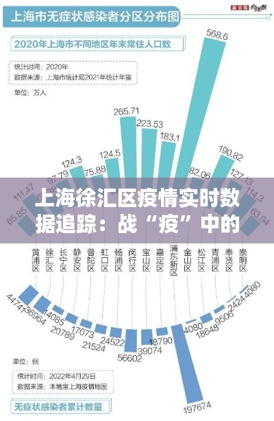 上海徐汇区疫情实时数据追踪：战“疫”中的数据力量