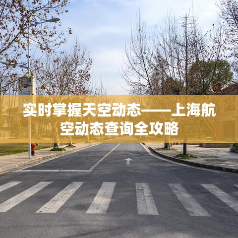 实时掌握天空动态——上海航空动态查询全攻略