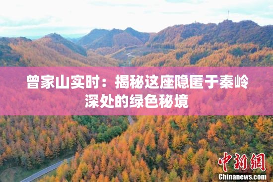 曾家山实时：揭秘这座隐匿于秦岭深处的绿色秘境