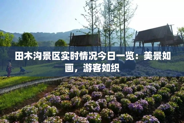 田木沟景区实时情况今日一览：美景如画，游客如织