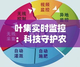 叶集实时监控：科技守护农业生产的未来