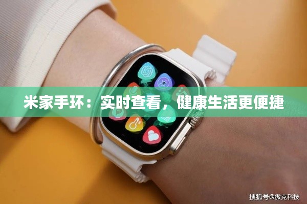 米家手环：实时查看，健康生活更便捷