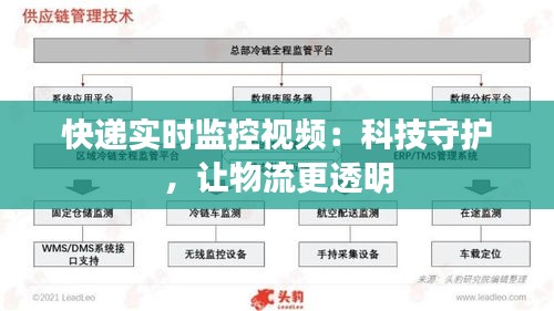 快递实时监控视频：科技守护，让物流更透明