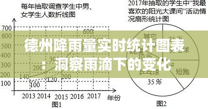 德州降雨量实时统计图表：洞察雨滴下的变化