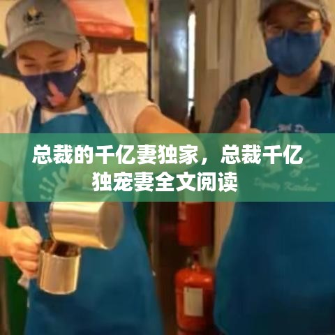 总裁的千亿妻独家，总裁千亿独宠妻全文阅读 