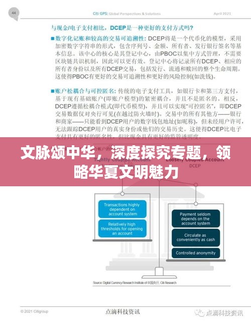 文脉颂中华，深度探究专题，领略华夏文明魅力