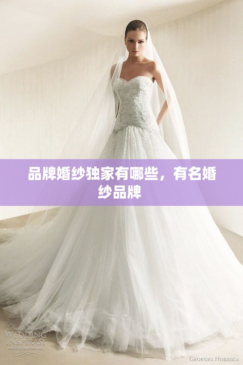 品牌婚纱独家有哪些，有名婚纱品牌 
