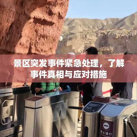景区突发事件紧急处理，了解事件真相与应对措施