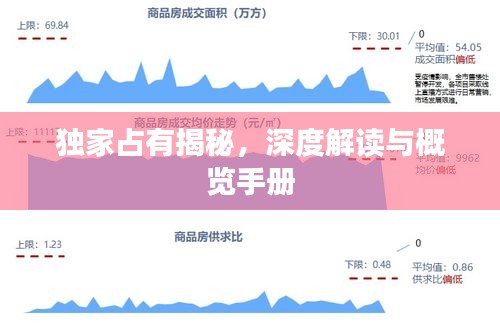 独家占有揭秘，深度解读与概览手册
