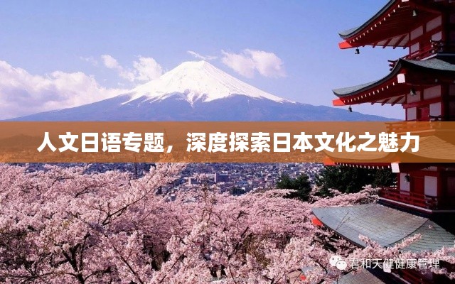 人文日语专题，深度探索日本文化之魅力