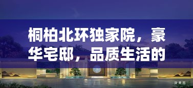 桐柏北环独家院，豪华宅邸，品质生活的独特选择