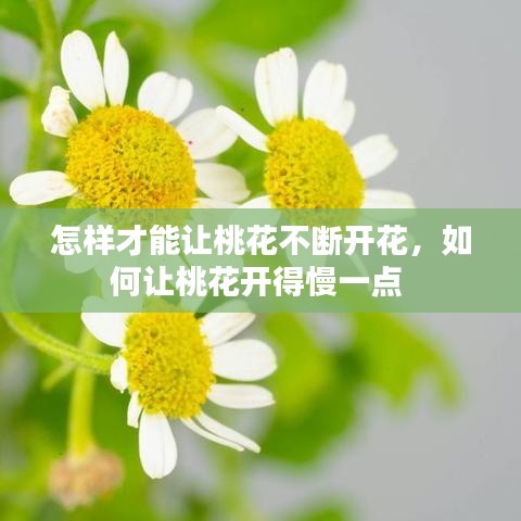 神气十足 第2页