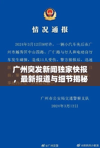 广州突发新闻独家快报，最新报道与细节揭秘