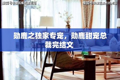 勋鹿之独家专宠，勋鹿甜宠总裁完结文 