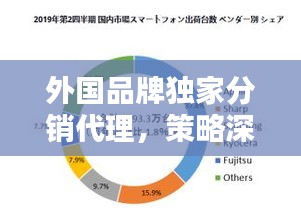 外国品牌独家分销代理，策略深度、挑战与机遇探索