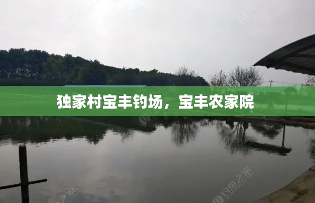 独家村宝丰钓场，宝丰农家院 