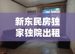新东民房独家独院出租，新东小区租房 