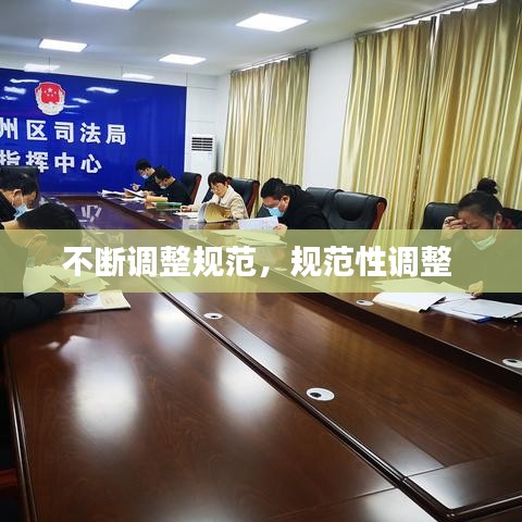 不断调整规范，规范性调整 