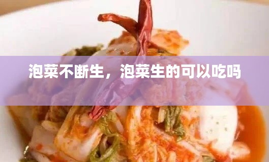 泡菜不断生，泡菜生的可以吃吗 