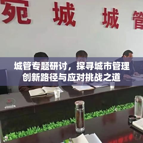 城管专题研讨，探寻城市管理创新路径与应对挑战之道