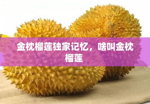 策名就列 第2页