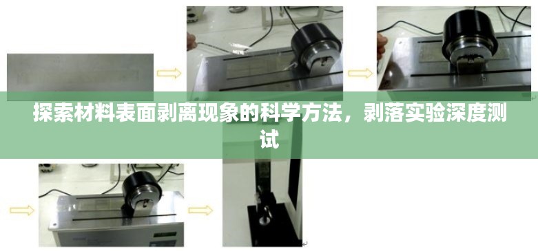 下马看花 第2页