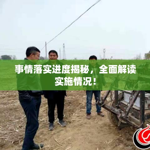 事情落实进度揭秘，全面解读实施情况！