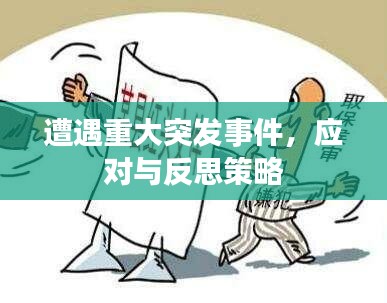 遭遇重大突发事件，应对与反思策略