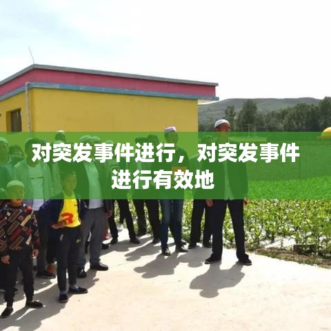 对突发事件进行，对突发事件进行有效地 