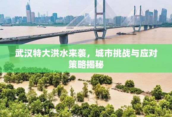武汉特大洪水来袭，城市挑战与应对策略揭秘