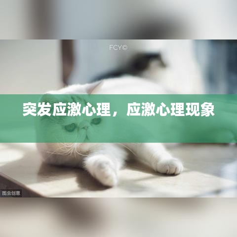 贵人多忘事 第2页