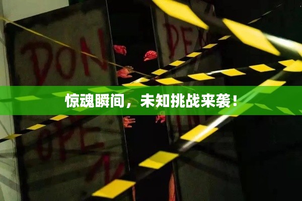 龙飞凤舞 第2页