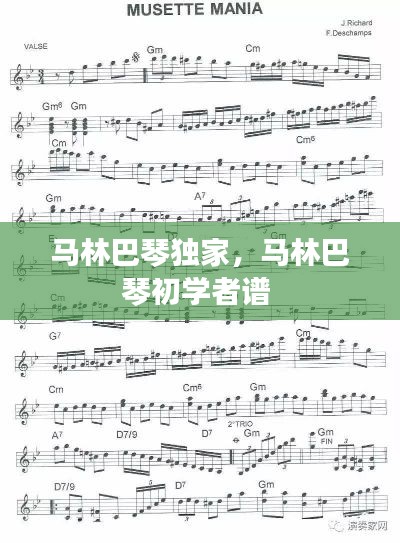 马林巴琴独家，马林巴琴初学者谱 