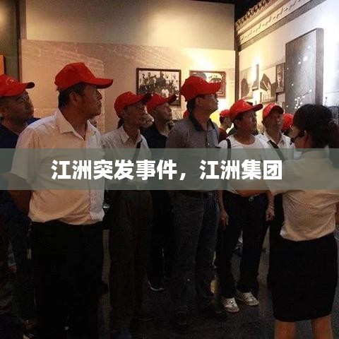 江洲突发事件，江洲集团 