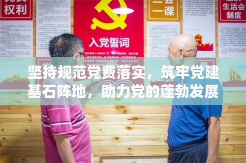 坚持规范党费落实，筑牢党建基石阵地，助力党的蓬勃发展