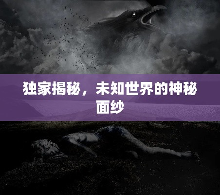 独家揭秘，未知世界的神秘面纱