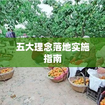 五大理念落地实施指南