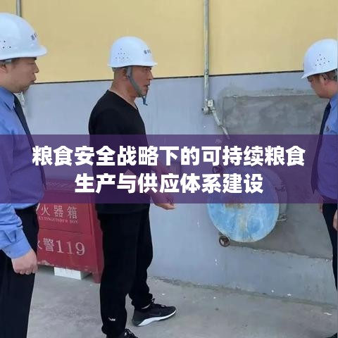 粮食安全战略下的可持续粮食生产与供应体系建设