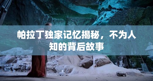 帕拉丁独家记忆揭秘，不为人知的背后故事