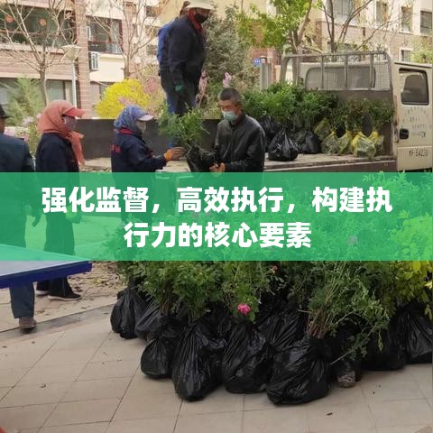 强化监督，高效执行，构建执行力的核心要素