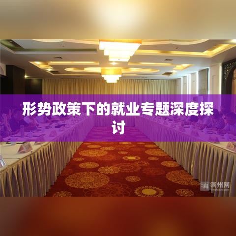 形势政策下的就业专题深度探讨