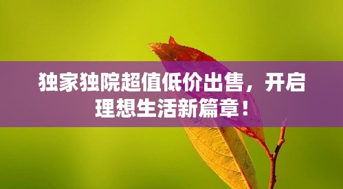独家独院超值低价出售，开启理想生活新篇章！