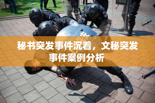 秘书突发事件沉着，文秘突发事件案例分析 