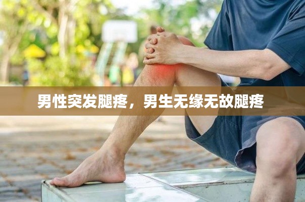 朝乾夕惕 第2页