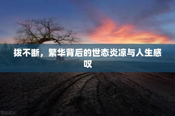 标新竖异 第2页