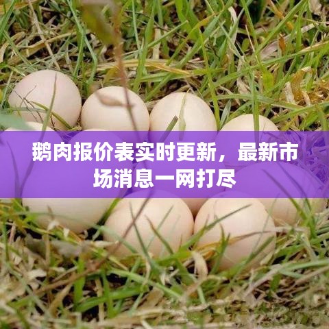 鹅肉报价表实时更新，最新市场消息一网打尽