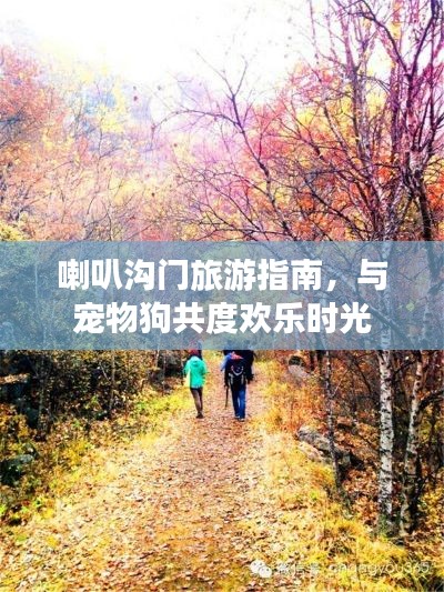 喇叭沟门旅游指南，与宠物狗共度欢乐时光