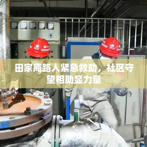 虫蚀鸟步 第2页