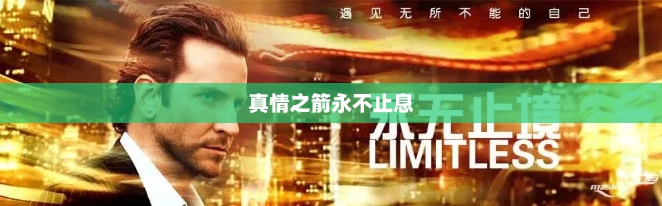 高不成低不就 第2页