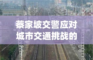 蔡家坡交警应对城市交通挑战的最新动态